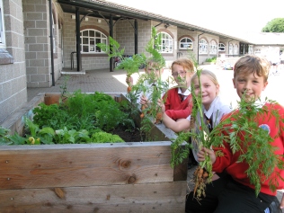 Matthew, Chloe, Isobel and Aaron show what can be grown in raised beds